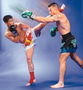 Шорты для тайского бокса 